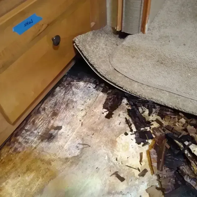 Best Wood Floor Water Damage Service in Effort, PA